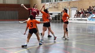Final Balonmano FECEM -Cerbuna